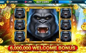mb8 casino